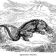 Illustration for article titled Strange 19th Century Drawings of Dinosaurs and Other Extinct Animals